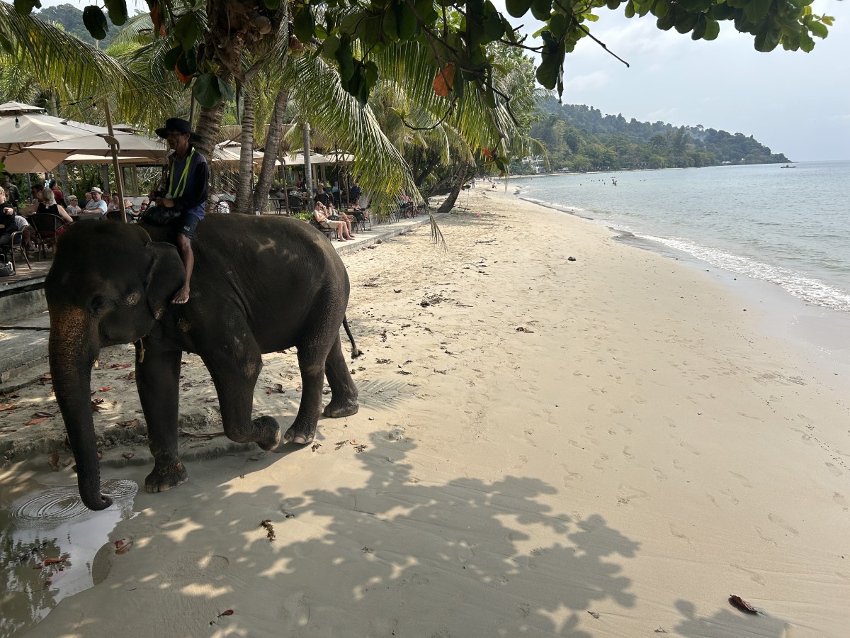 Kai Bae Beach & elephant, Chang Island, Thailand