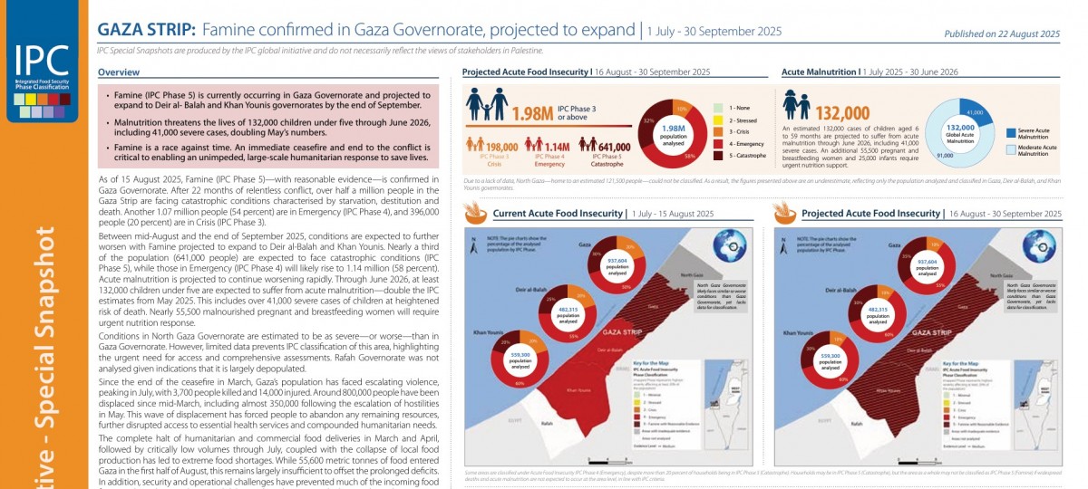https://civil-protection-humanitarian-aid.ec.europa.eu/system/files/2025-08/IPC_Gaza_Strip_Acute_Food_Insecurity_Malnutrition_July_Sept2025_Special_Snapshot.pdf