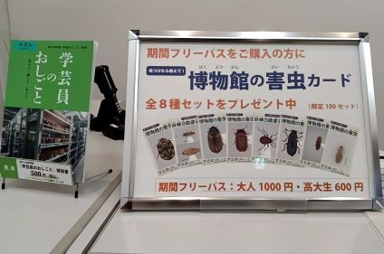 特別展に行くとどれか一枚もらえます（数量限定）。フリーパスを買うと全種もらえます！