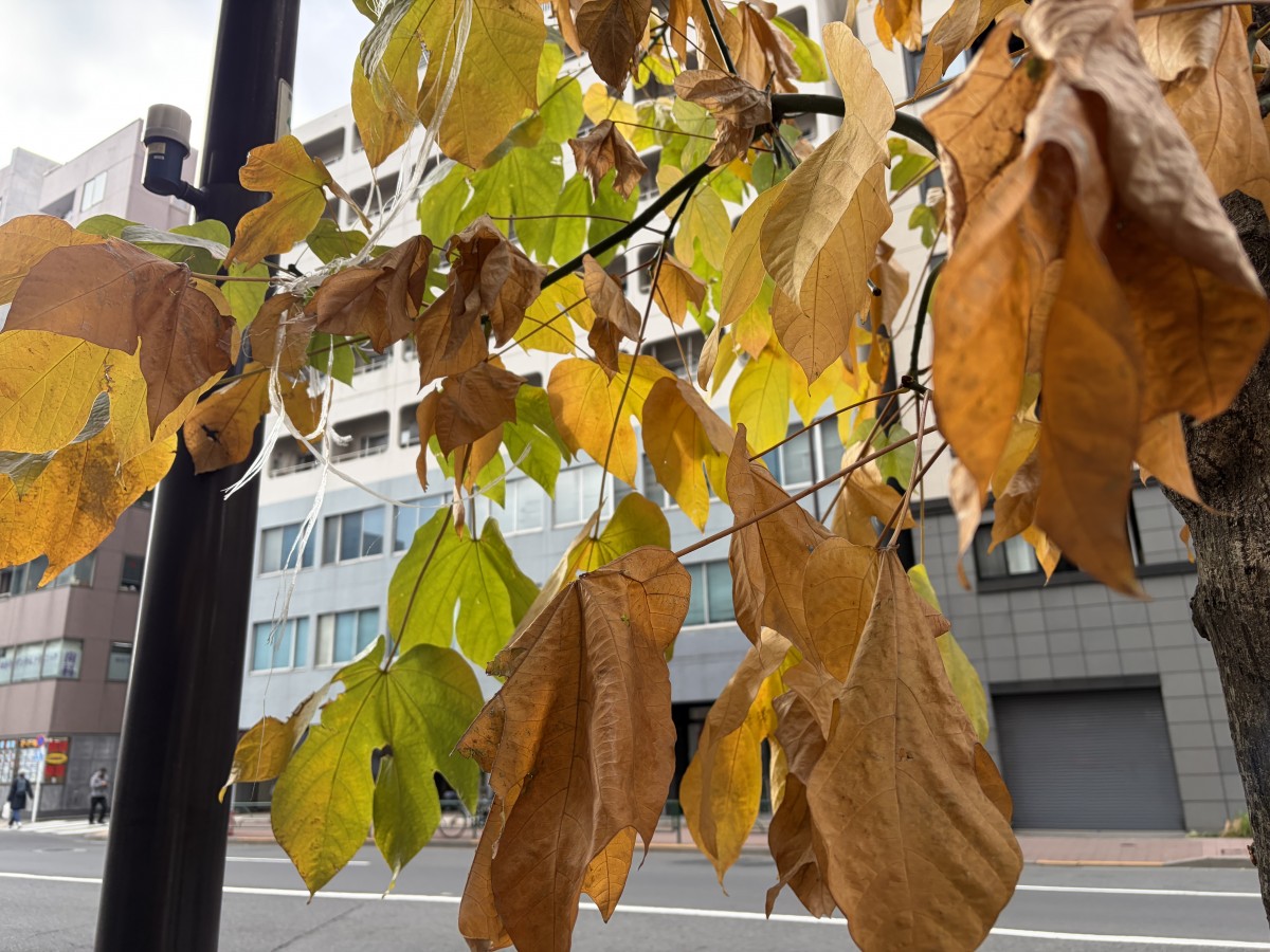 マッサージ店があったとされるビル（撮影：渋井哲也）