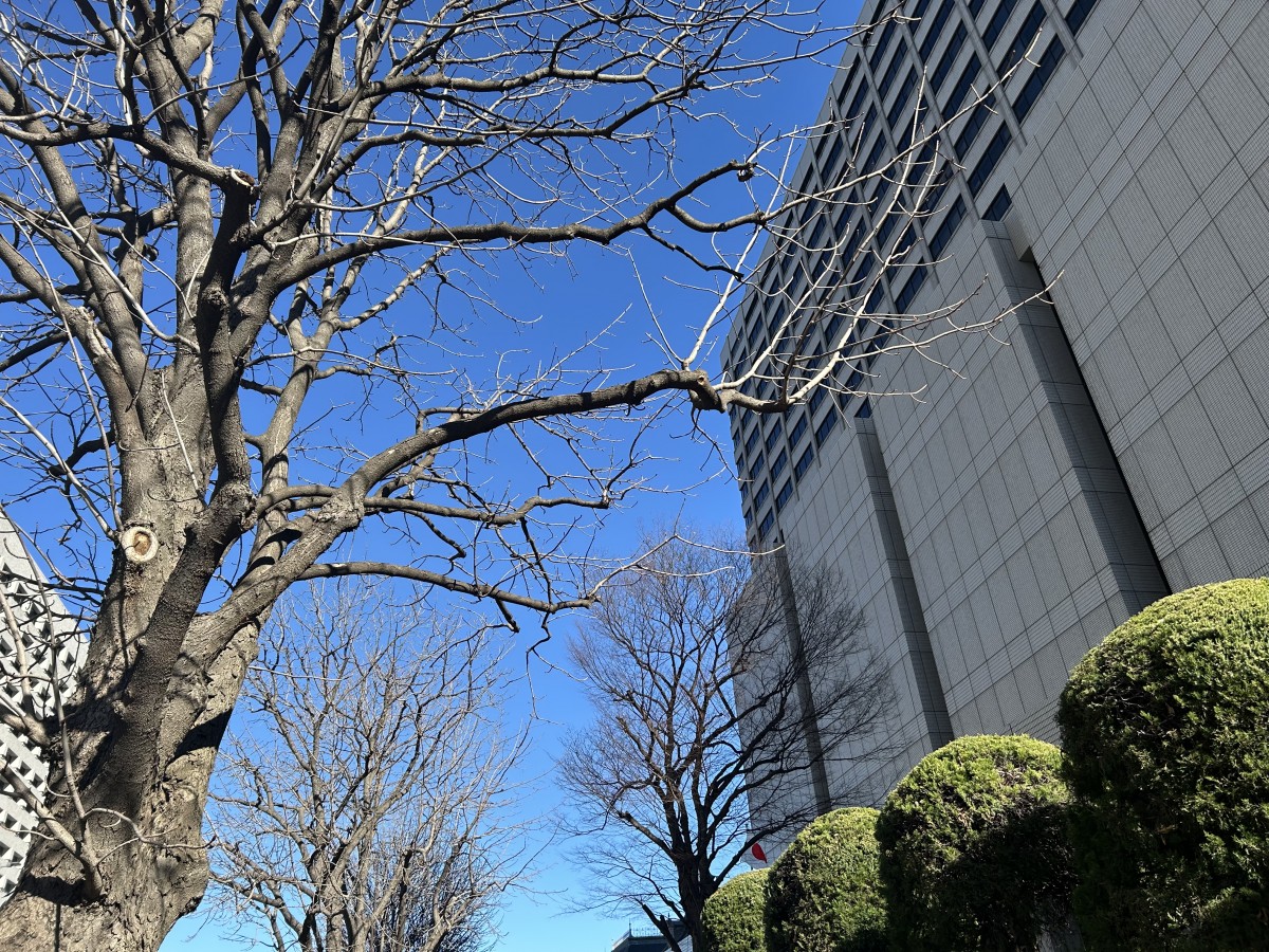 東京地裁（撮影：渋井哲也）