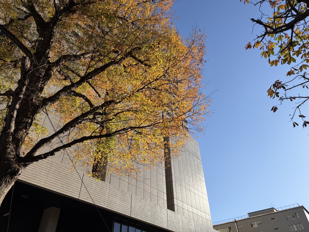 東京地裁（撮影：渋井哲也）