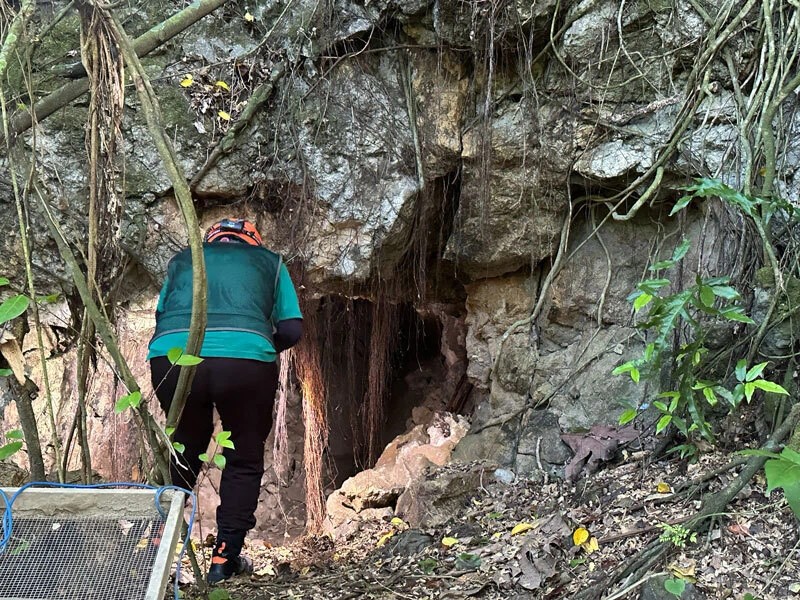 今回の調査対象