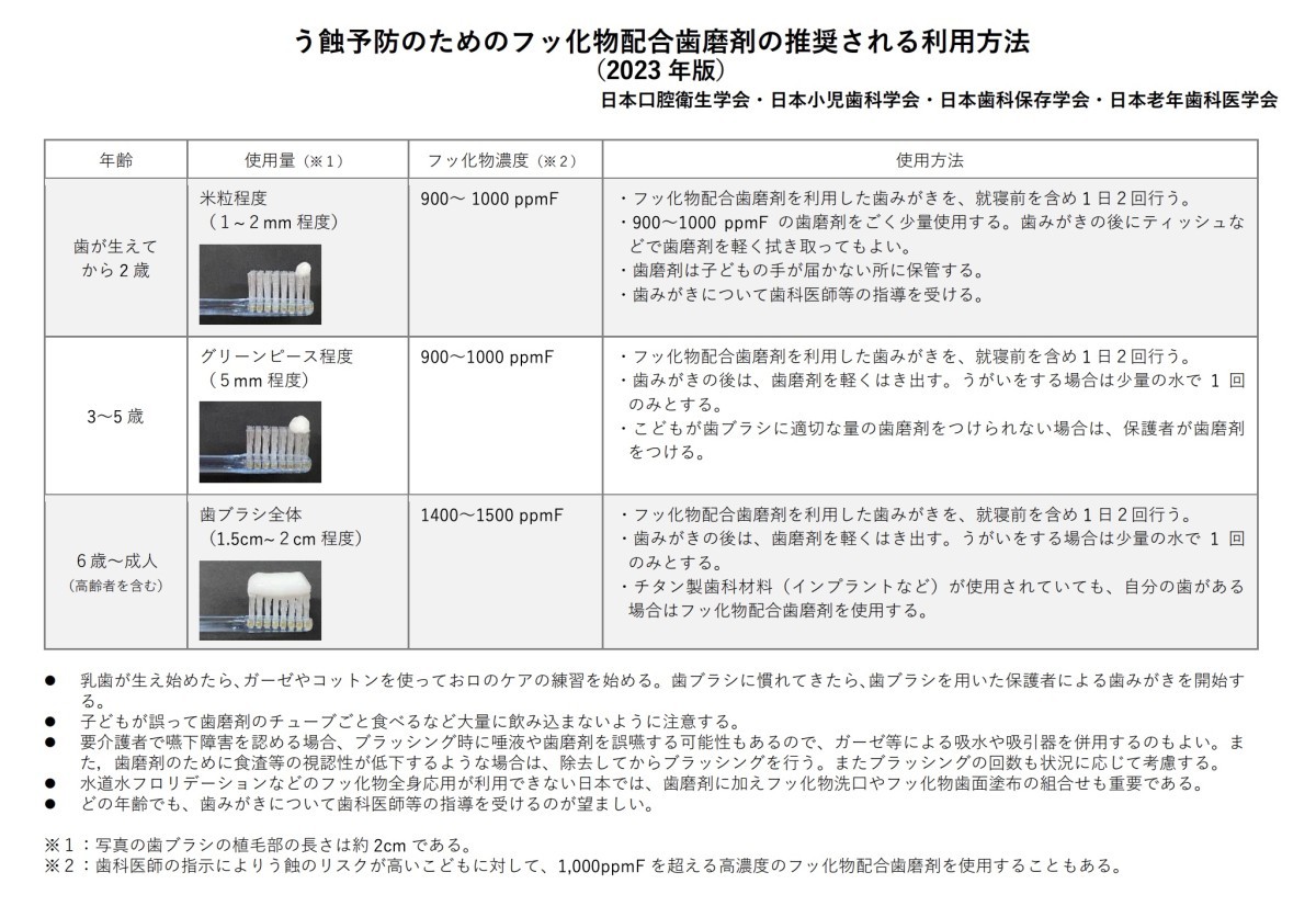 https://www.kokuhoken.or.jp/jsdh/news/2023/news_230303.pdf