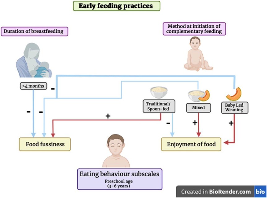 https://onlinelibrary.wiley.com/doi/full/10.1111/mcn.13672