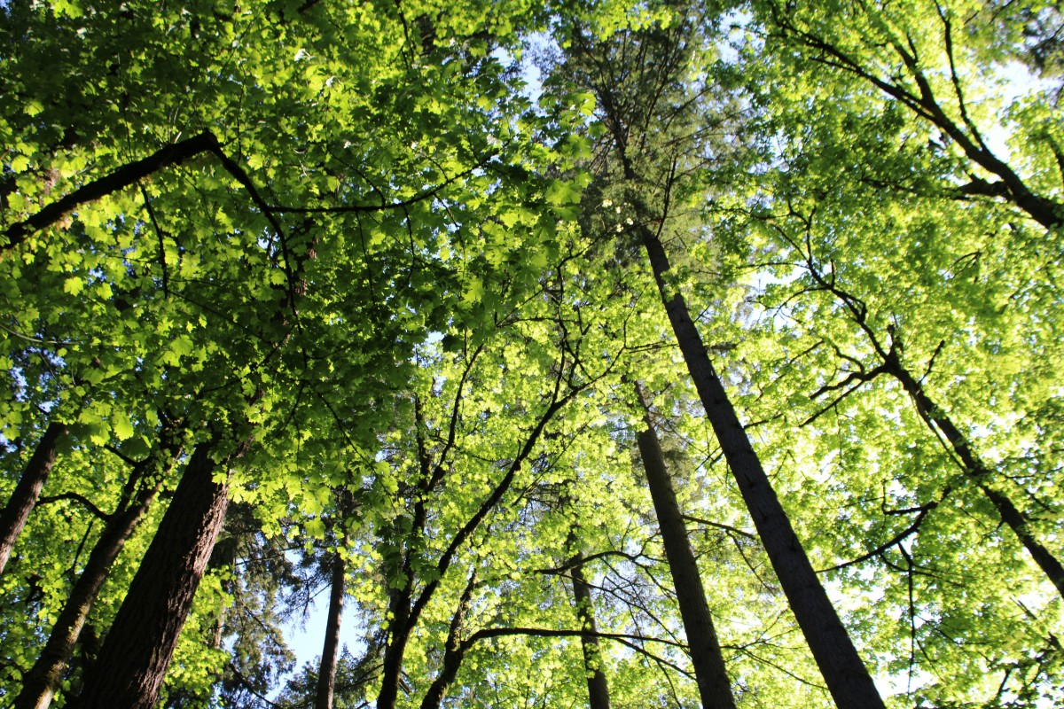 &amp;nbsp; &amp;nbsp; &amp;nbsp;