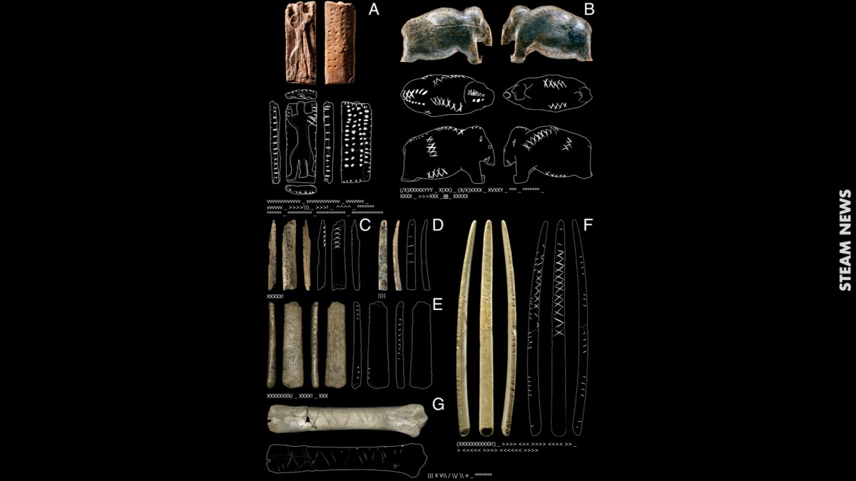 Mobile artifacts with geometric signs of the Swabian Aurignacian. (A) Plaquette with hybrid creature (so-called &ldquo;Adorant&rdquo;), ivory, Geissenkl&ouml;sterle (gkl0025), &copy; Landesmuseum W&uuml;rttemberg, Hendrik Zweitasch. (B) Mammoth figurine, ivory, Vogelherd (vhc0145), &copy; University of T&uuml;bingen, Juraj Lipt&aacute;k. (C) Rod/b&acirc;ton, ivory, Vogelherd (vhc0001), &copy; University of T&uuml;bingen, Ewa Dutkiewicz. (D) Personal ornament, ivory, Geissenkl&ouml;sterle (gkl0006), &copy; University of T&uuml;bingen, Ewa Dutkiewicz. (E) Spatula/lissoir, bone, Vogelherd (vhc0017), &copy; University of T&uuml;bingen, Ewa Dutkiewicz. (F) Spatula/lissoir, bone, Vogelherd (vhc0162), &copy; University of T&uuml;bingen, Juraj Lipt&aacute;k. (G) Undetermined, bone, Hohle Fels (hfc0006), &copy; University of T&uuml;bingen, Ewa Dutkiewicz. Drawings by Ewa Dutkiewicz. Copyright: CC-BY-SA 4.0. For further details on sign coding and preprocessing see Materials and Methods.