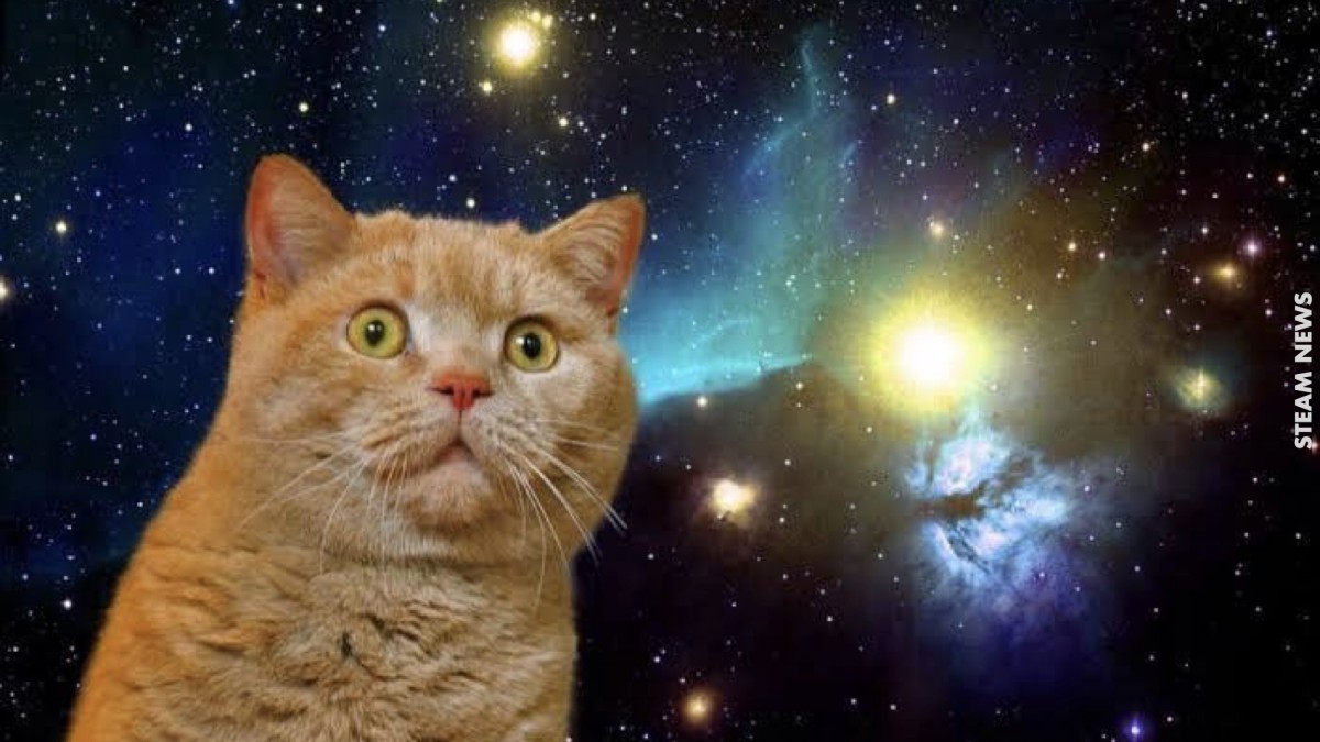宇宙猫