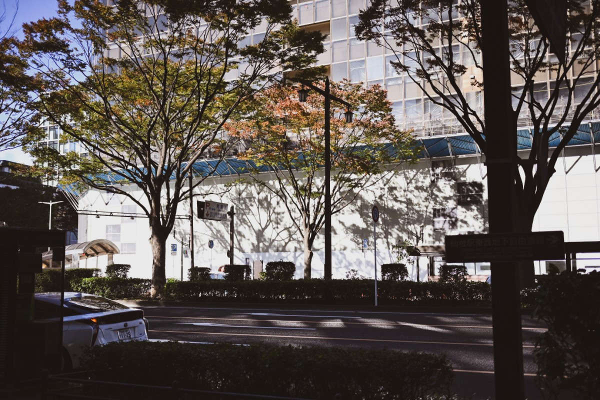 10:30ごろの新幹線で着いた仙台。仙台の秋は長い気がするね。