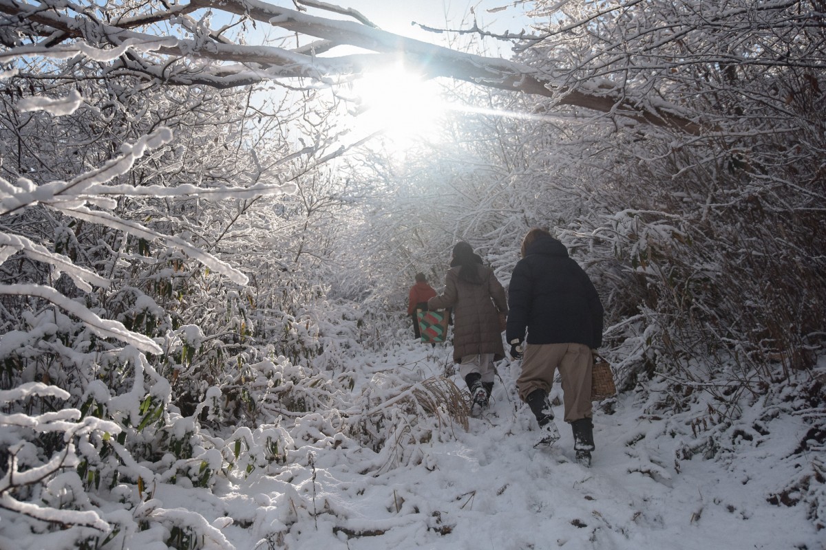 昨年の冬の竹取。今年は熊も怖かったのでまたいけていない。