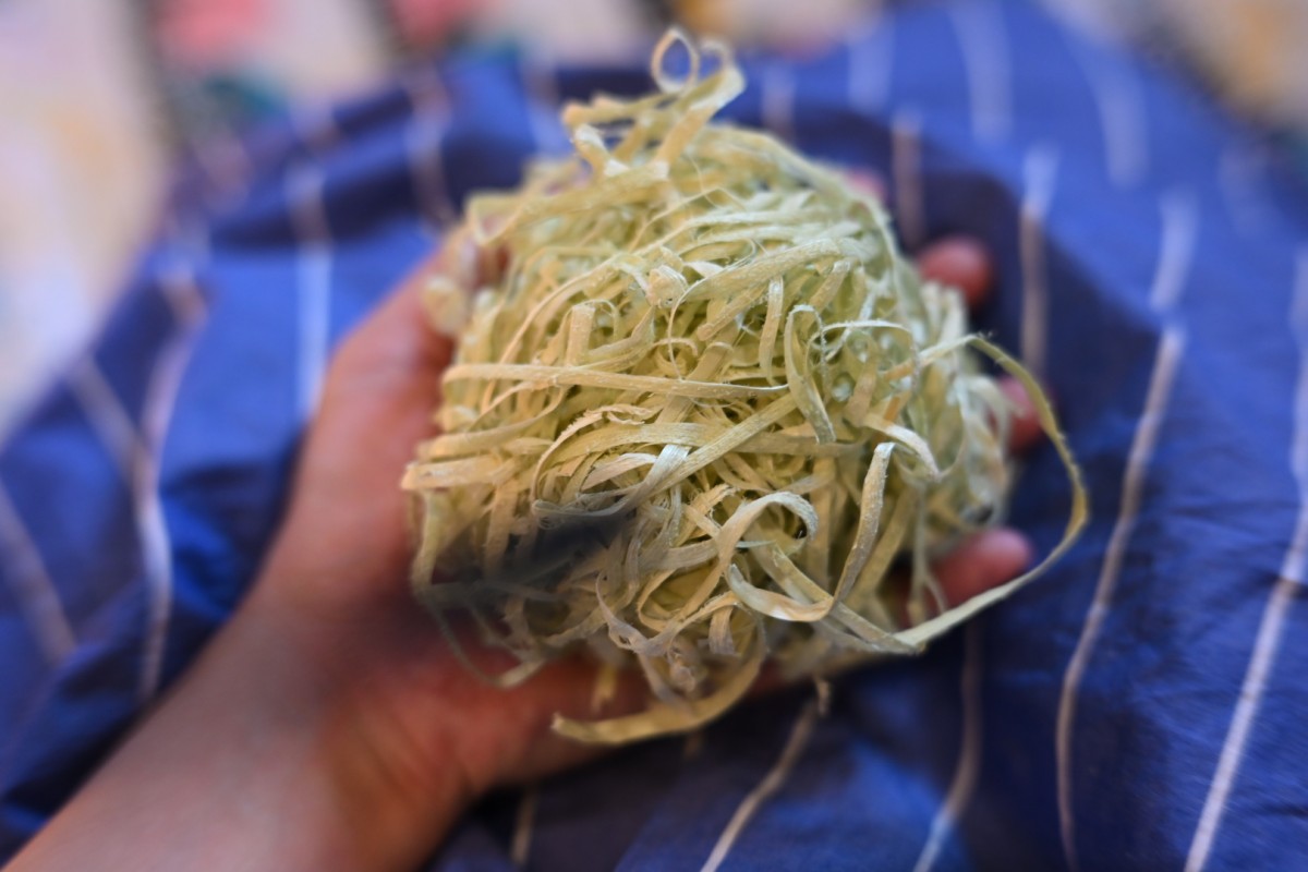 ビニール袋に入れていると、キャベツの千切りにみえます。