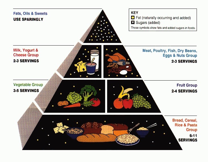1992 Food Pyramid 