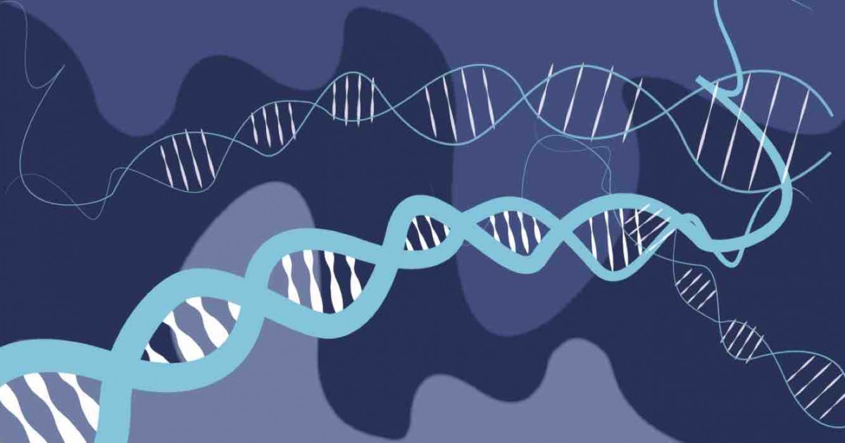 遺伝子ランキングを理解する ️44 ️ | バイオがまじわる日常