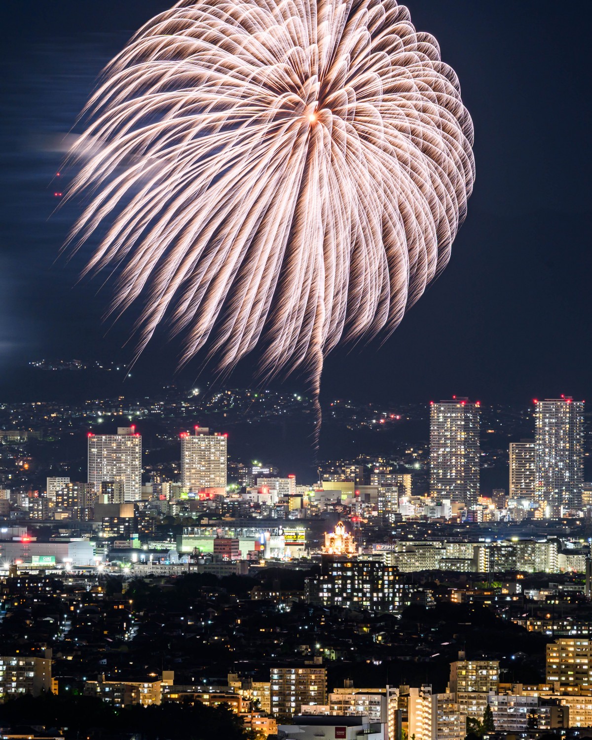 水都くらわんか花火大会。都会の花火のこの煌びやかな感じっていいですよね。予想よりでかい花火が上がってフレームアウトしちゃった一枚。