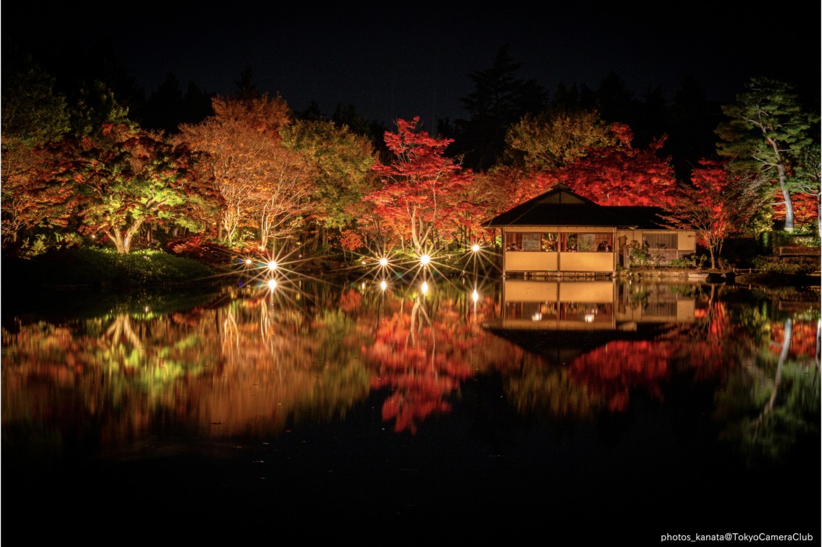 photos_kanata・昭和記念公園のライトアップ