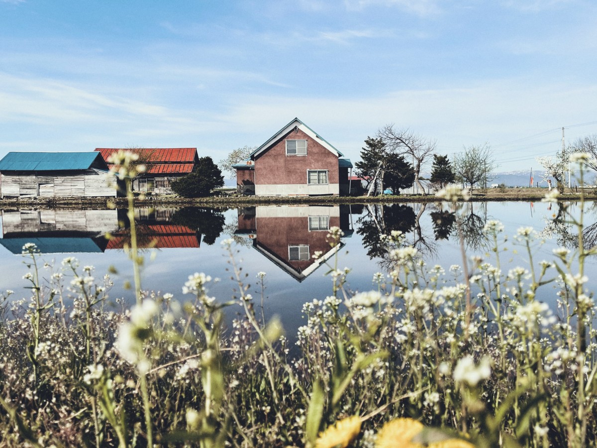東京カメラ部撮影・北海道東川町の水田風景