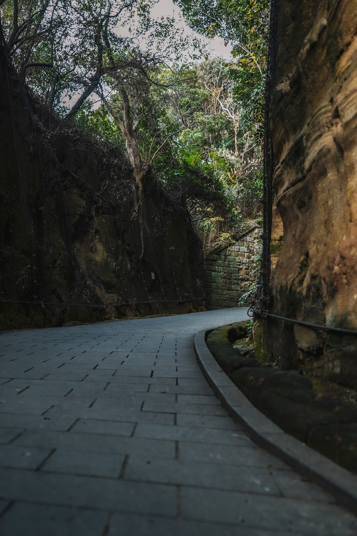 ナラハシ ケン・横須賀市猿島・横須賀市 × 東京カメラ部 フォトツアー第2弾にて