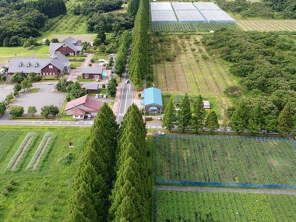 「写真で残していく『文化』、写真でつくっていく『まち』・東京カメラ部2019写真展トークショー