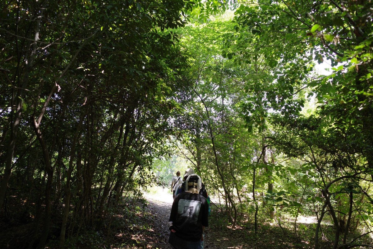 相生山を歩く。Oくん写真ありがとう。