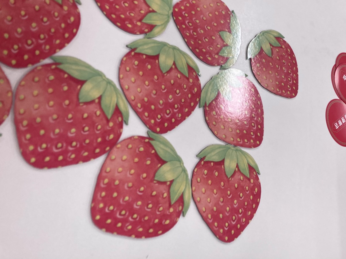 神経衰弱で爆沸き