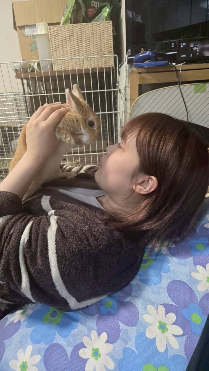 今年は卯年じゃないですよ🐰🐴