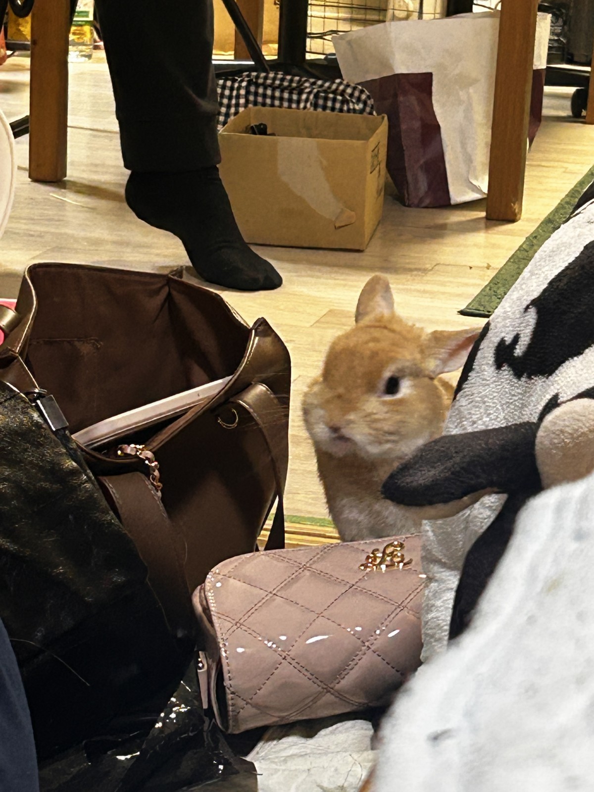 ドカ散らかってる年末の自室に潜り込んでくる親友・ゆめ