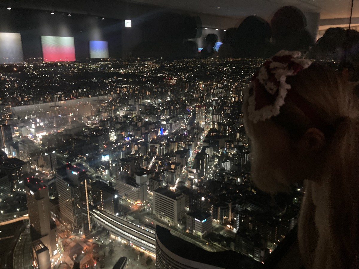 展望台の頂上にて、この世界を手に入れし女たち