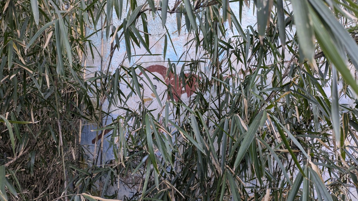 建物はすべて故三好常吉氏による自作であったらしい。