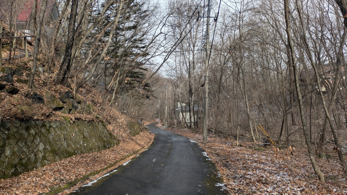 「負動産の窓口」の依頼で訪れた群馬県嬬恋村の「プリンスランド別荘地」。（2025年12月5日）