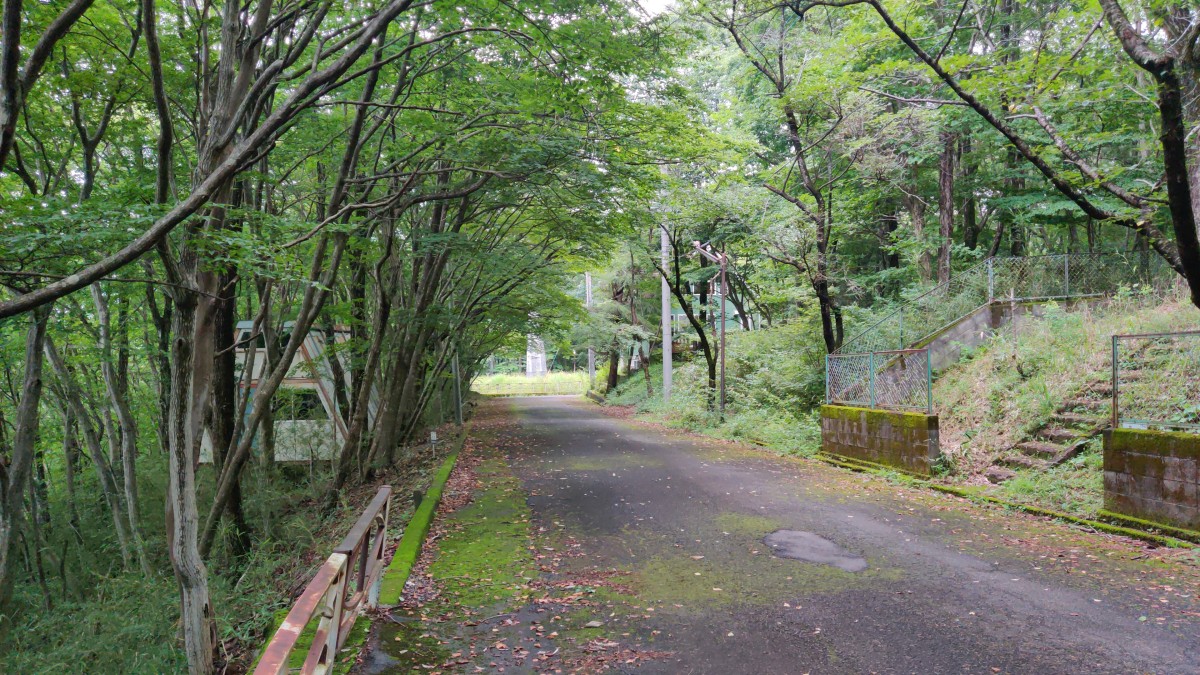分譲から半世紀が経過した栃木県那須町の管理別荘地。斜面の区画の更地は大半が長年利用されることもなく放置されているが、管理費の納入義務は続いている。