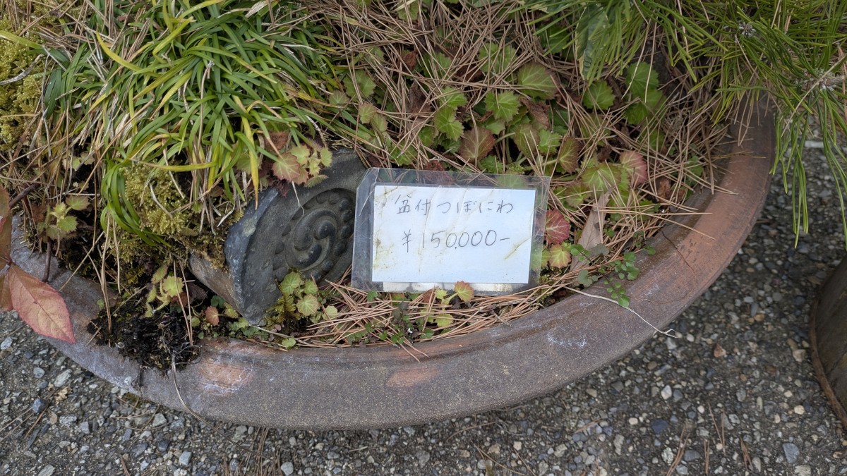 15万円の盆栽坪庭。価格はともかく、こんなものを園内で買って持ち帰るのだろうか。