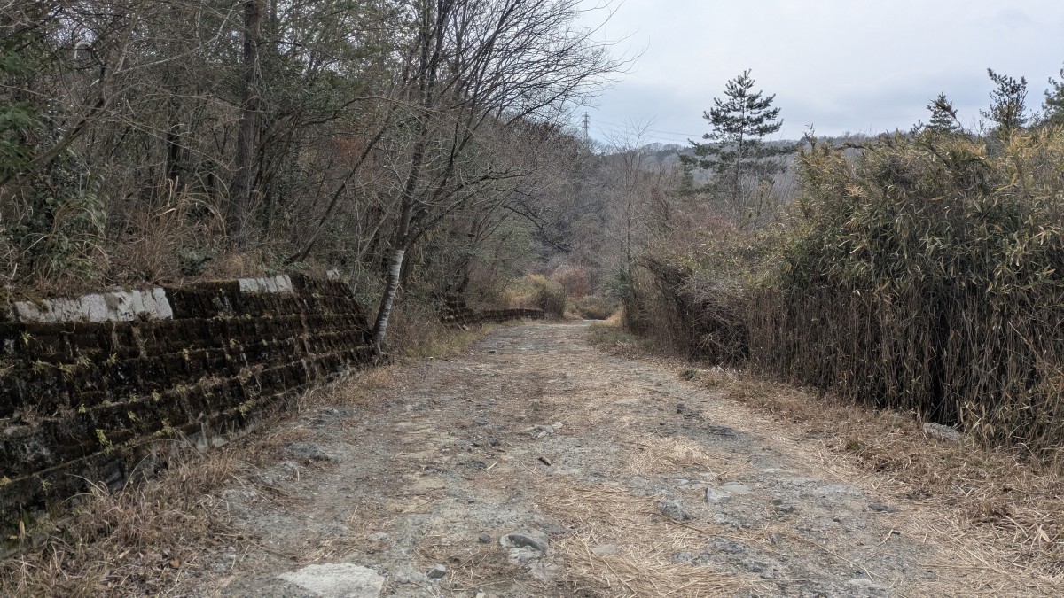 伊賀市青山羽根の放棄分譲地。伊賀市の放棄分譲地は巨大なものがいくつも見られる。三重県屈指の放棄分譲地の集積地だ。