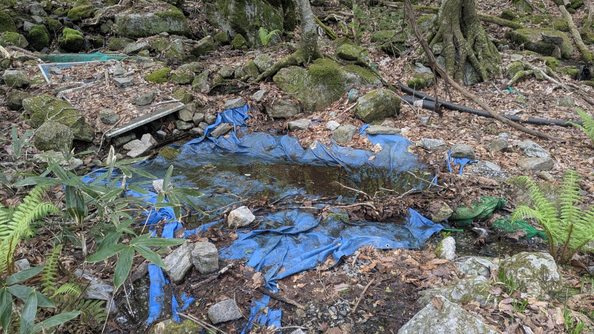 水源地の取水口。まったく管理されている気配がない。