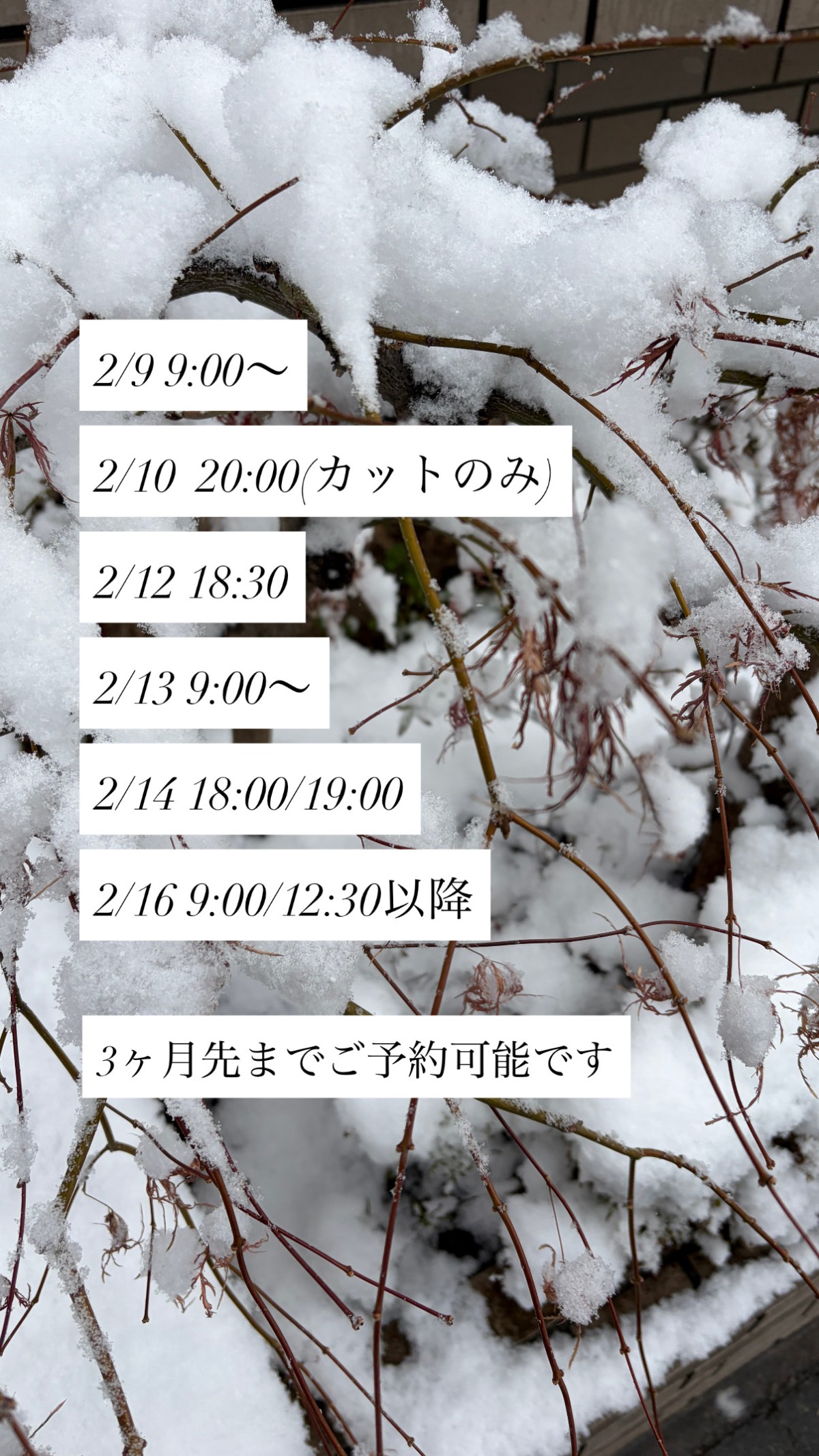 タップするとLINEにつながります