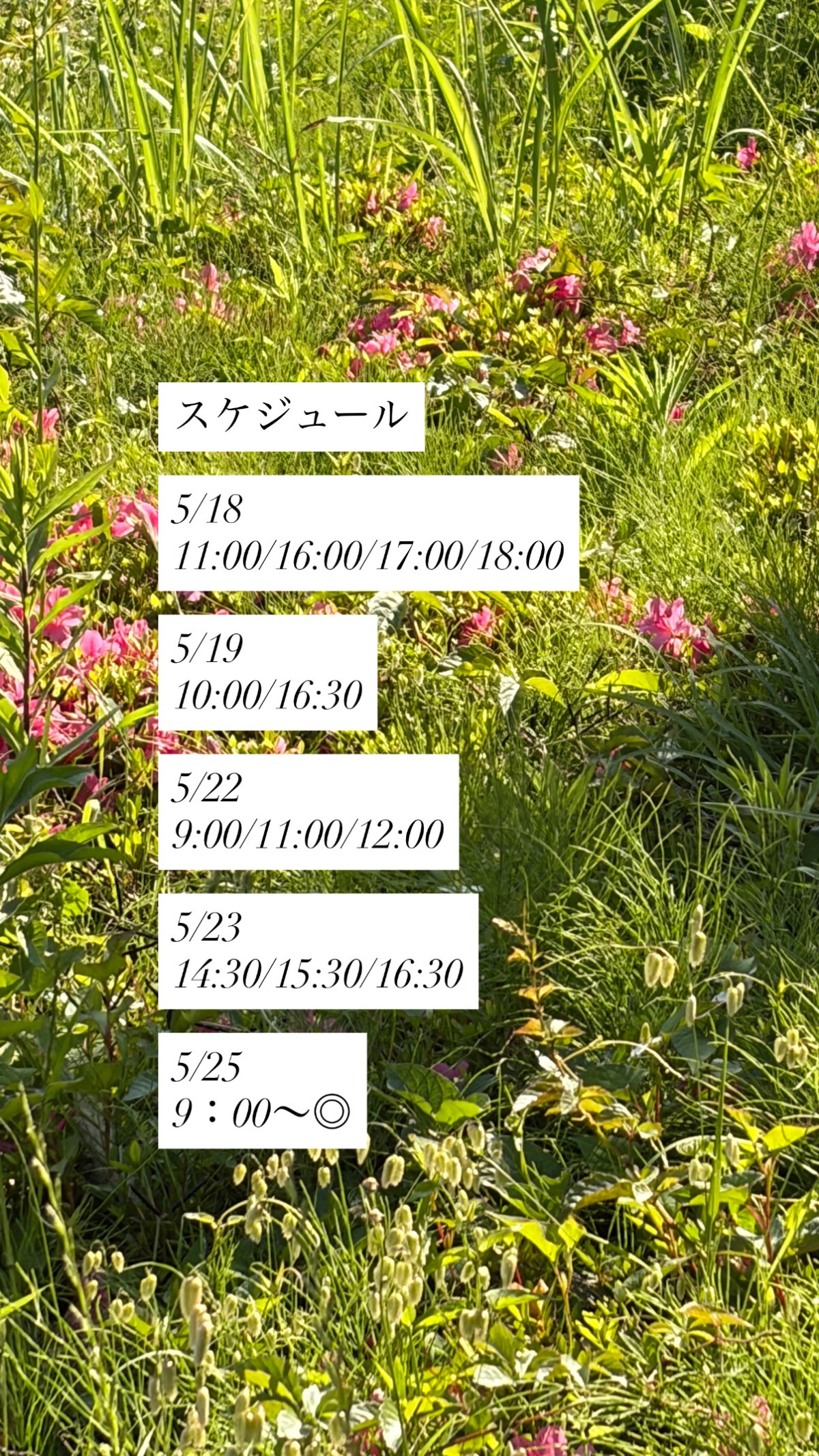 LINEにつながります! タップしてね!