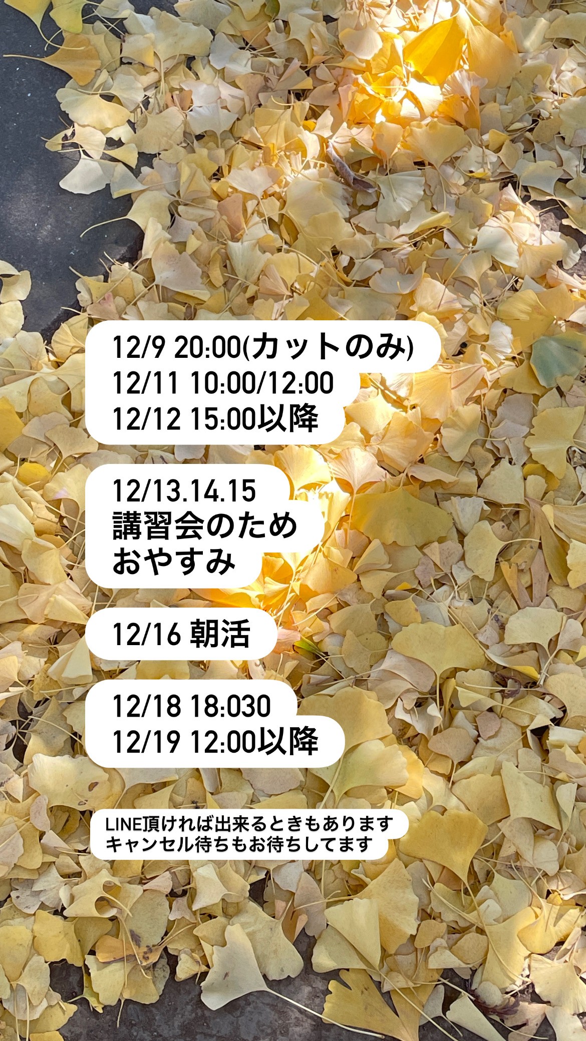 こちらをタップするとラインにつながります