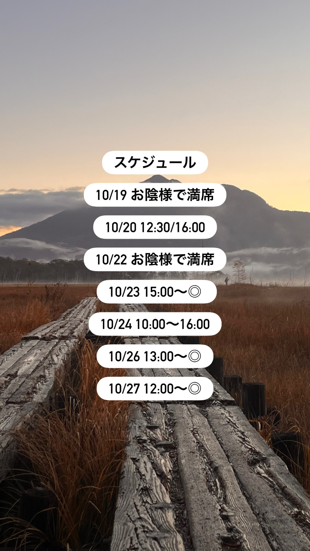 公式LINEに繋がります