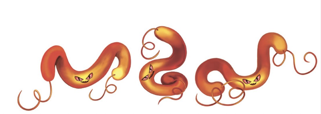 BfRのミニ絵本のカンピロバクター