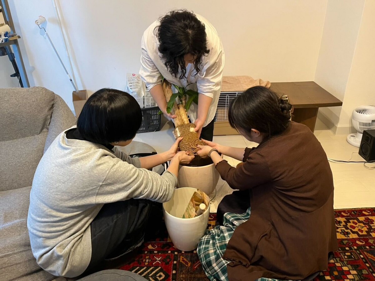 おおがかり
