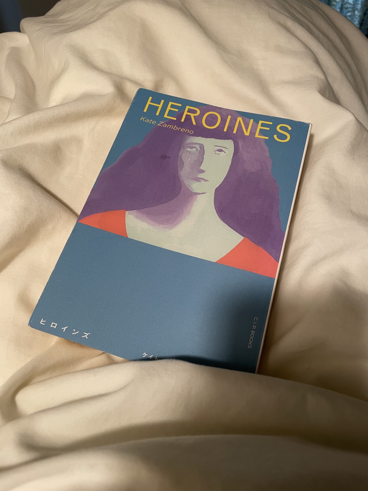 もう絶版で流通していないのが残念極まりないです&hellip;