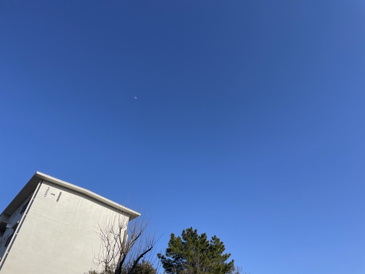 これはお月様