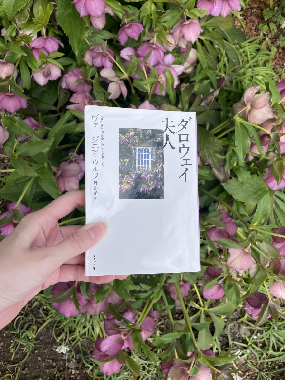 『ダロウェイ夫人』を読んでさらにテンションを高めています。