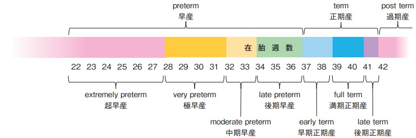 出典：亀井良哉「36～37週で生まれた赤ちゃんの生理」ペリネイタルケア 42(6): 542-548, 2023.