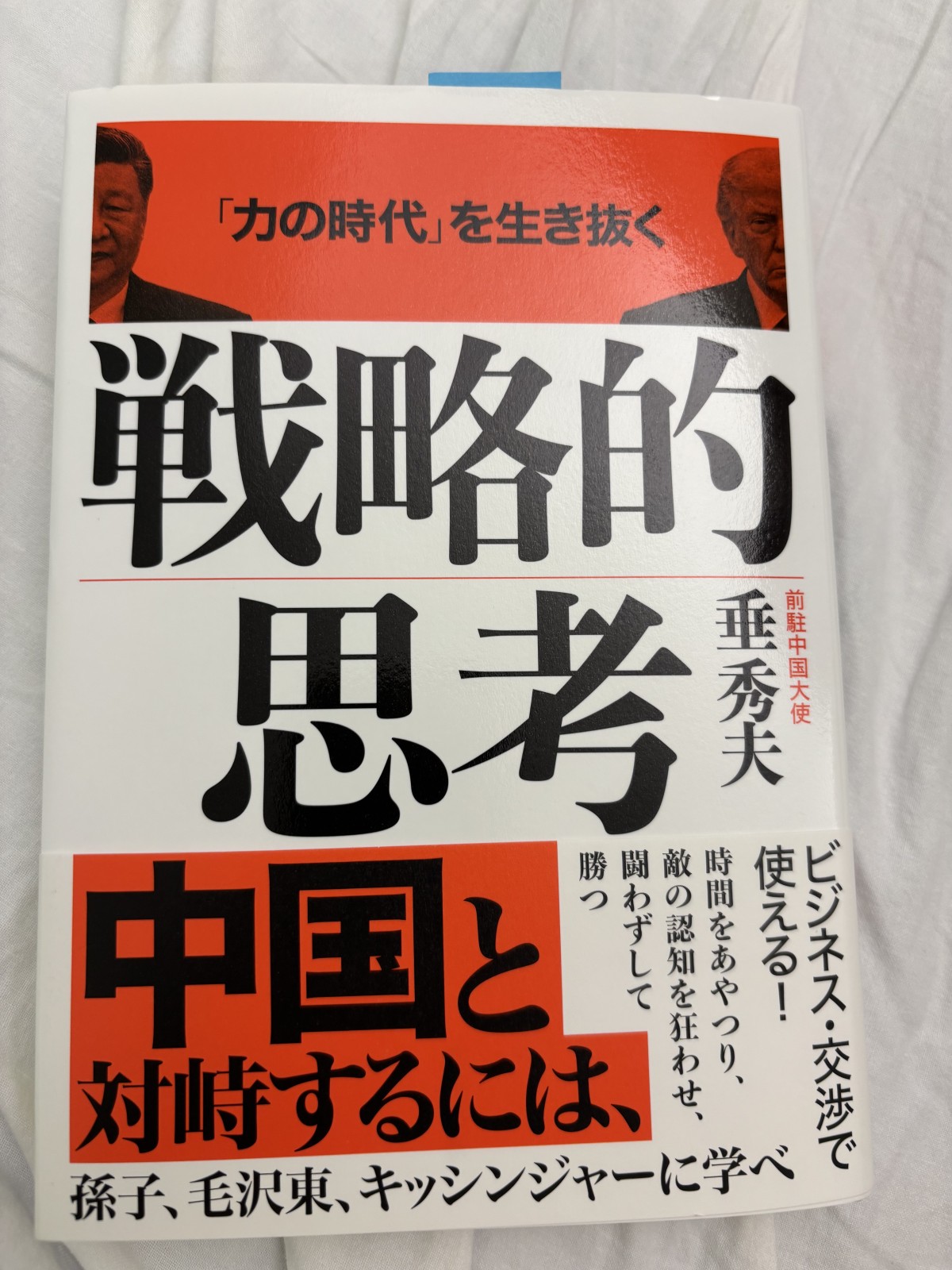 垂秀夫氏の新作
