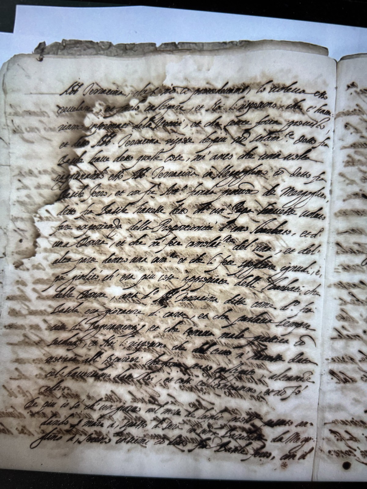 ナポリの異端審問の記録（史料）