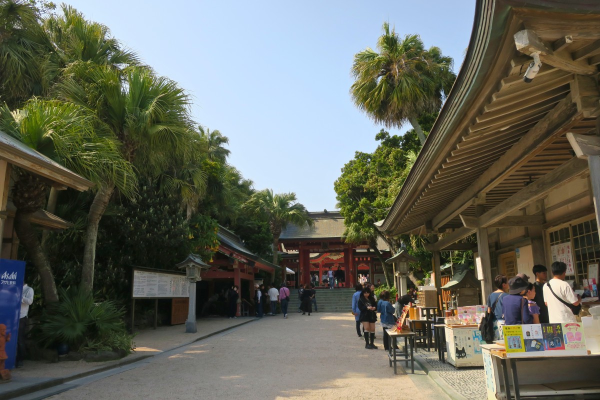 青島神社の境内。社務所の上にフェニックスの木がのぞいている。photo:yue arima