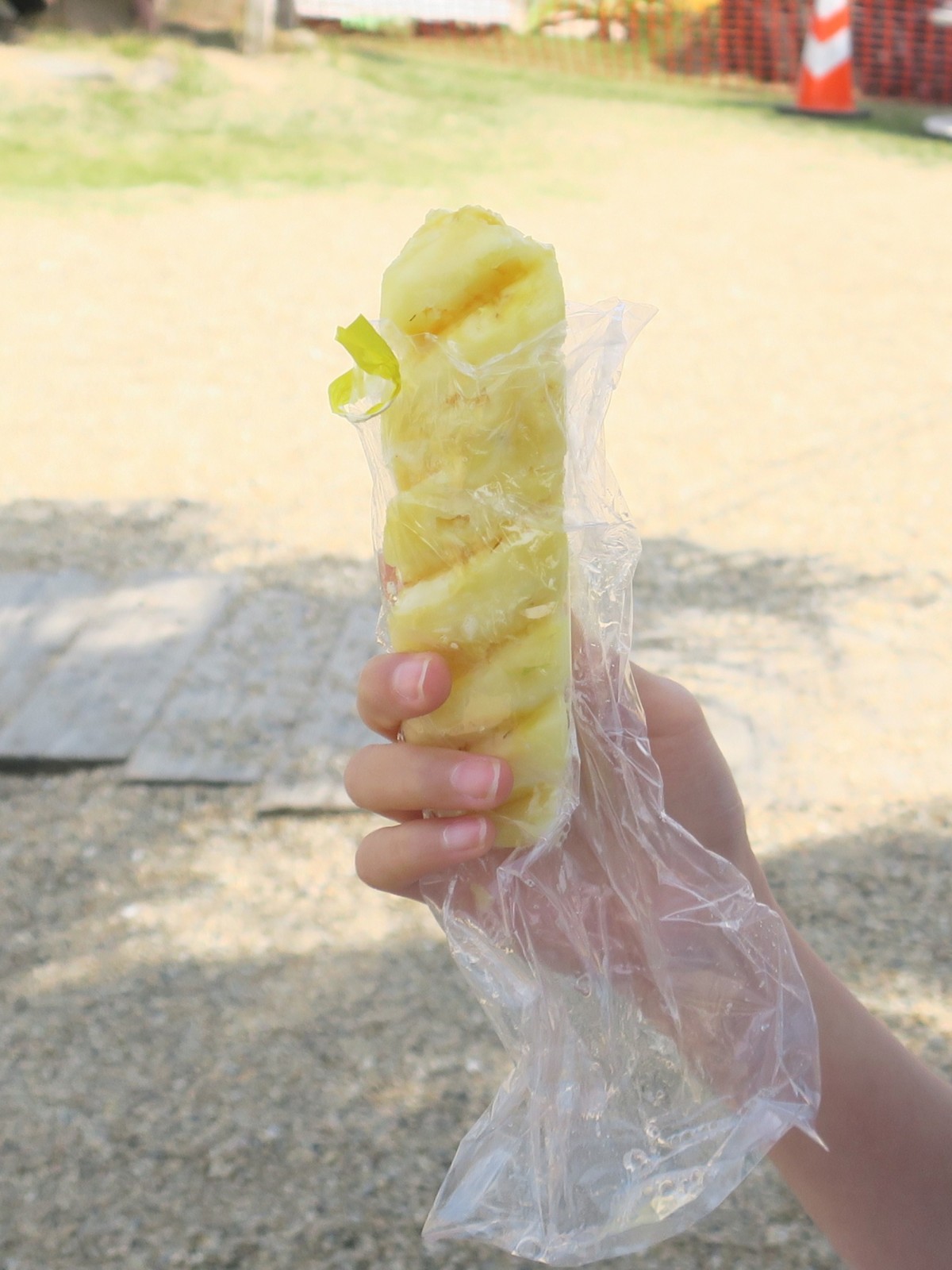 これが冷やしパイン。食べかけで失礼します。photo:yue arima