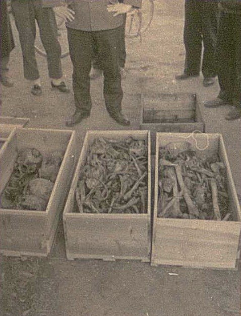 船体引き揚げ時に収容された遺骨は、個別の身元特定が困難であったため「分骨」された。