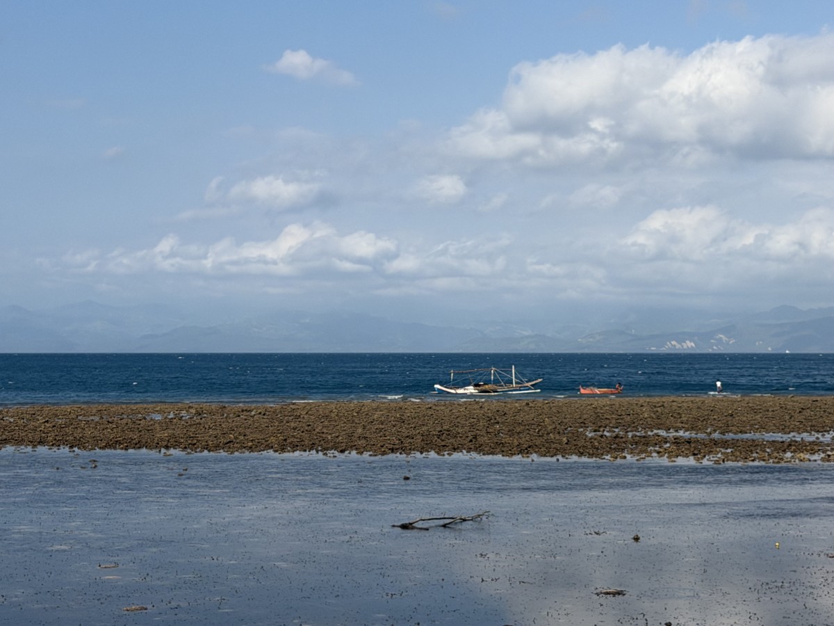 隆起した海岸